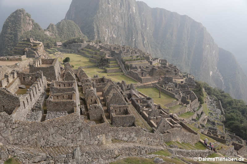 Machu Picchu-1