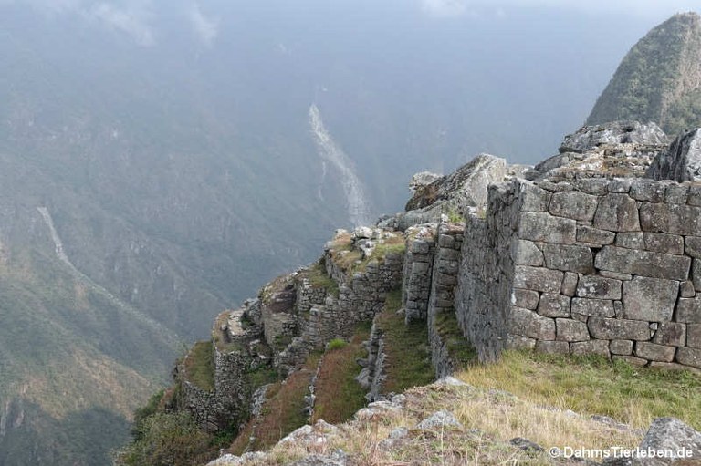 machu-picchu-52.jpg