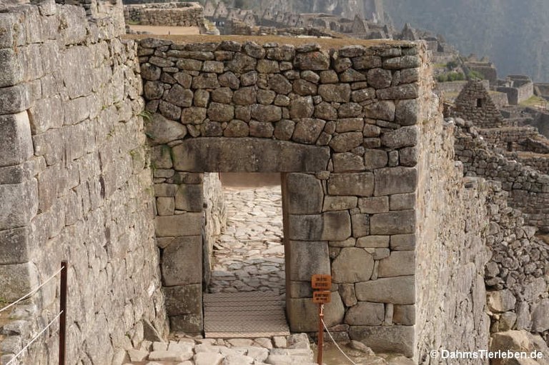 Machu Picchu Stadttor