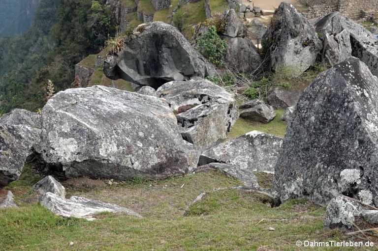 Caos Granitico