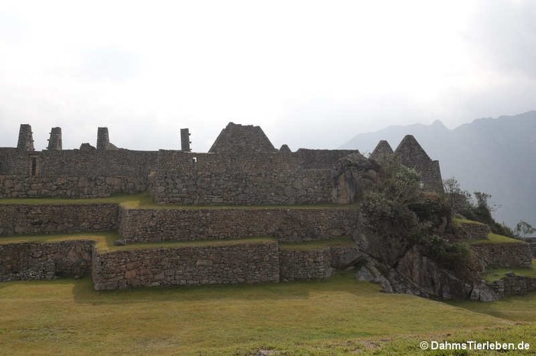 machu-picchu-70.jpg