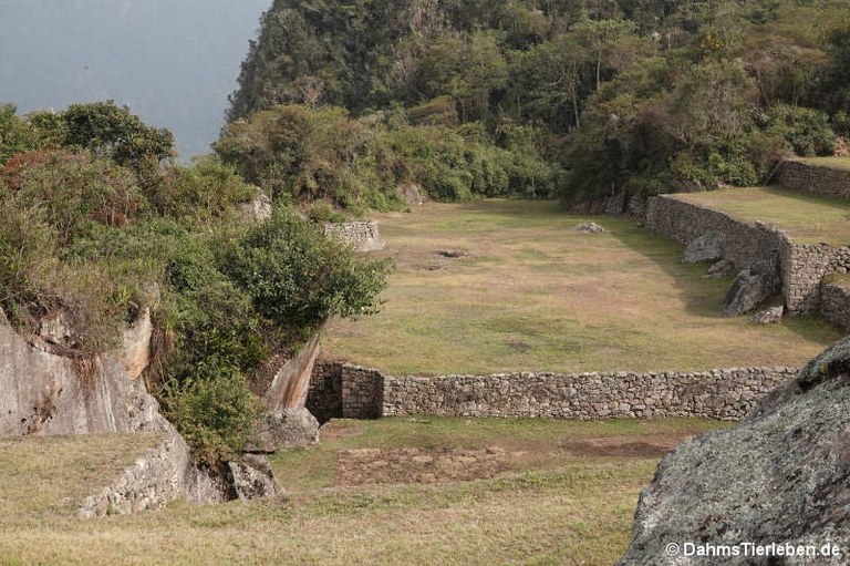 machu-picchu-71.jpg