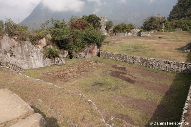 machu-picchu-72.jpg