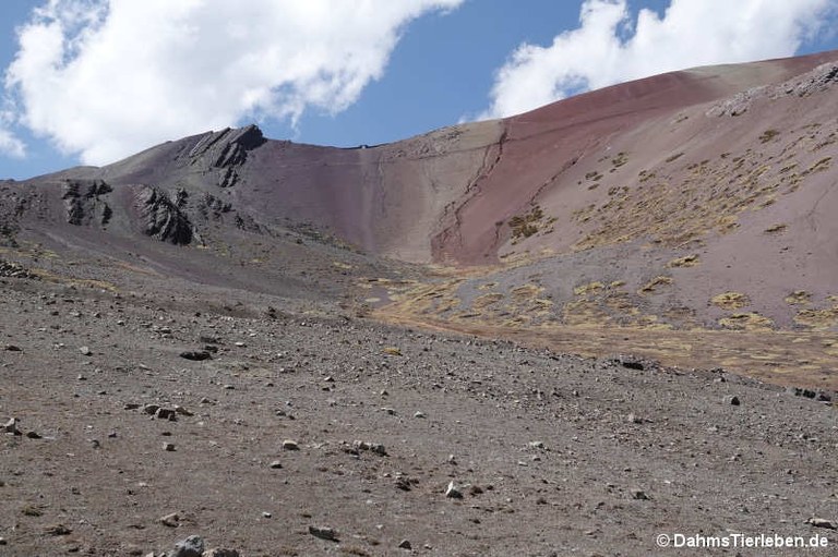 Vinicunca