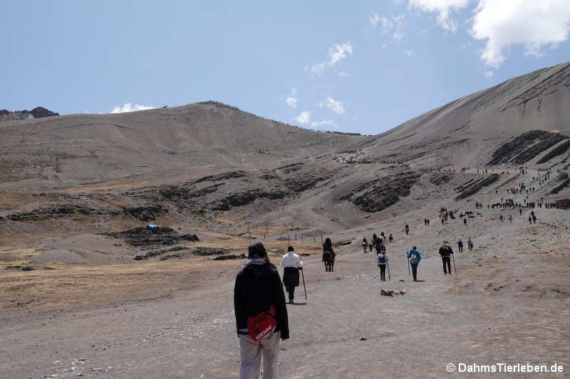 Vinicunca