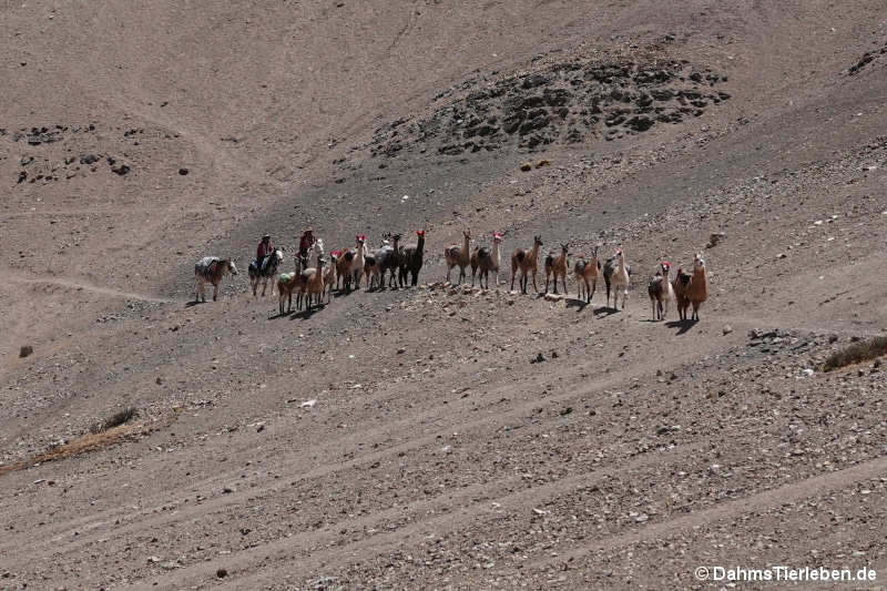 Vinicunca