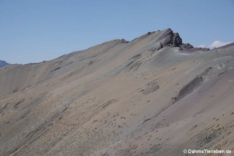 Vinicunca-19