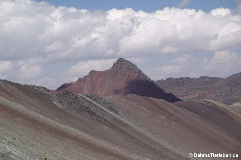 Vinicunca-20