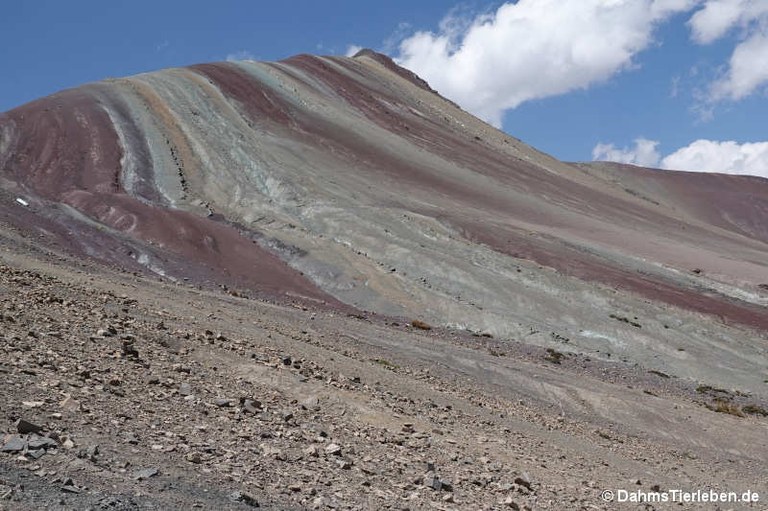 Vinicunca