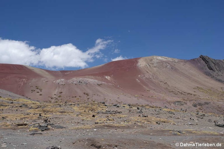 Vinicunca