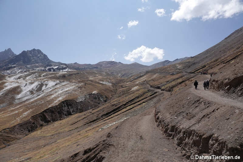 Vinicunca-7