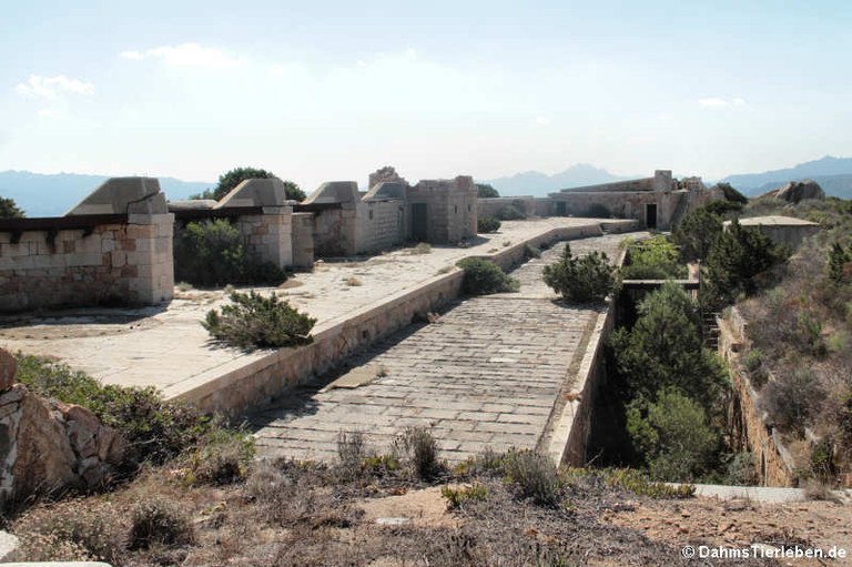 Festung Capo d'Orso