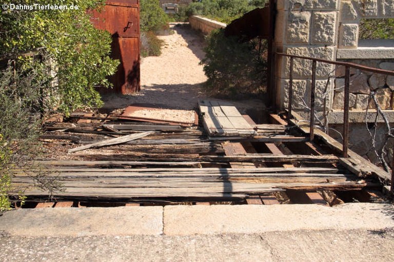 Brücke zur Festung