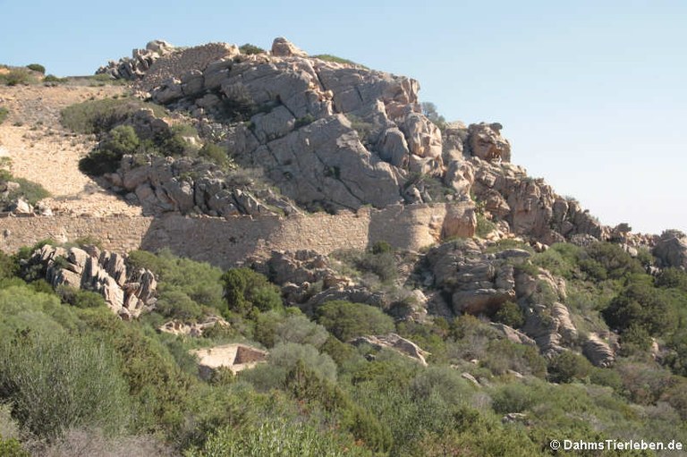 Festungsmauer Capo d'Orso