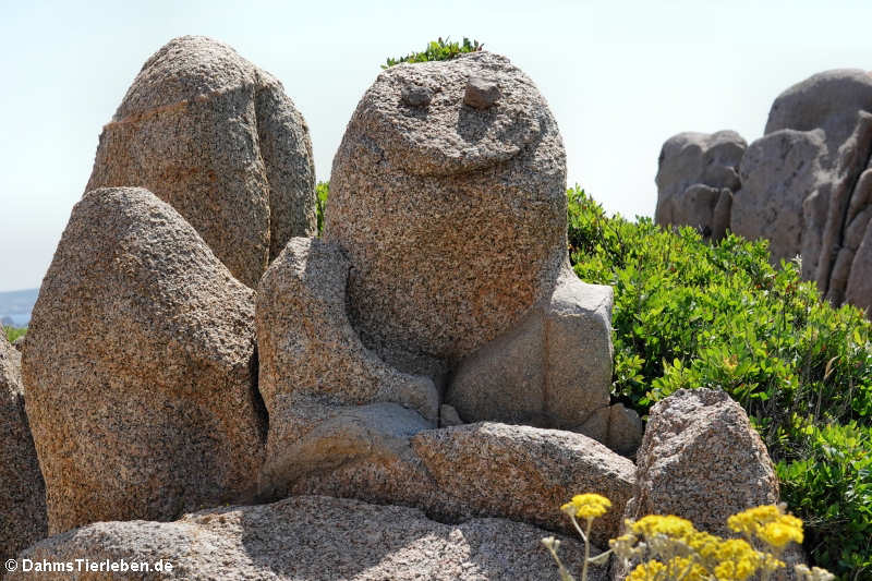 Granitfelsen auf Capo Testa