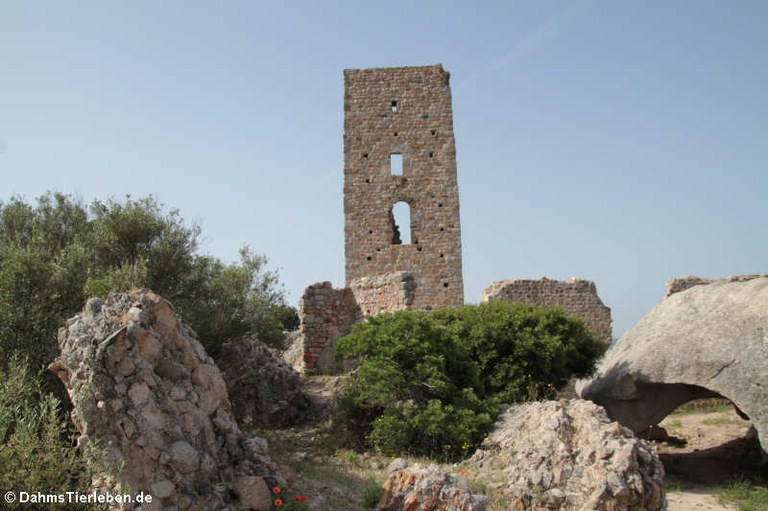 Castello di Pedres