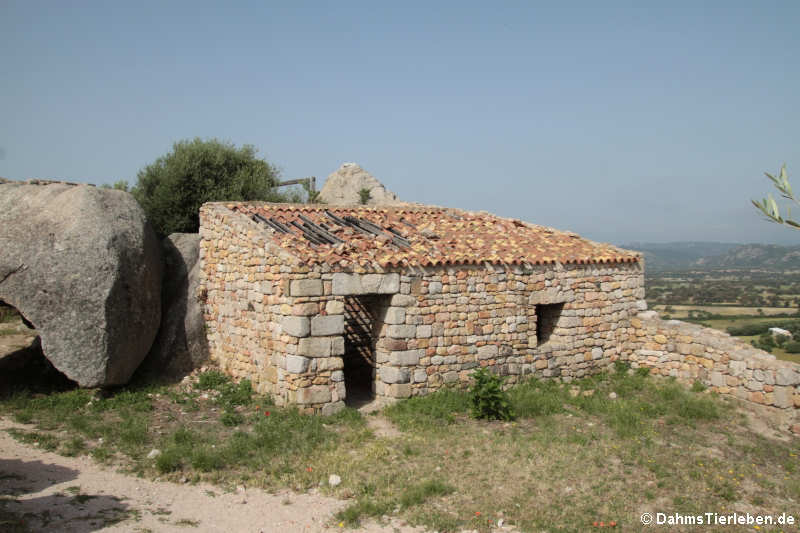 Haus im Castello di Pedres