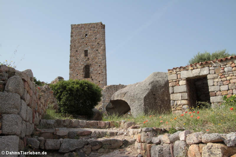 Treppe zum Wehrturm