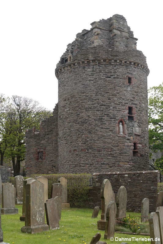 Der Turm von Bishop's Palace