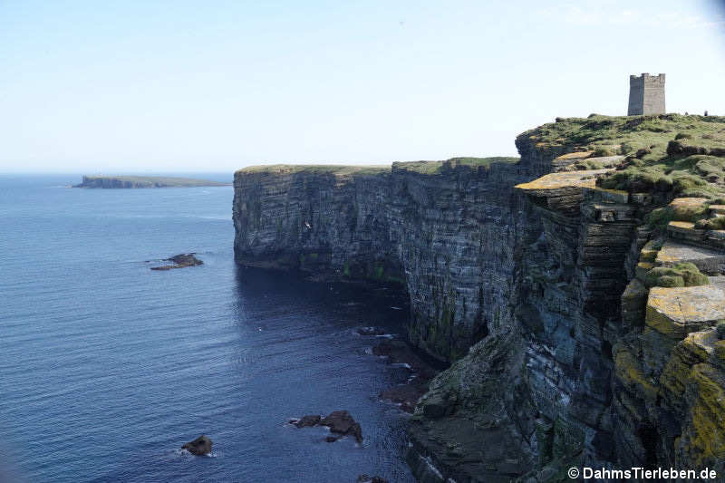 Marwick Head