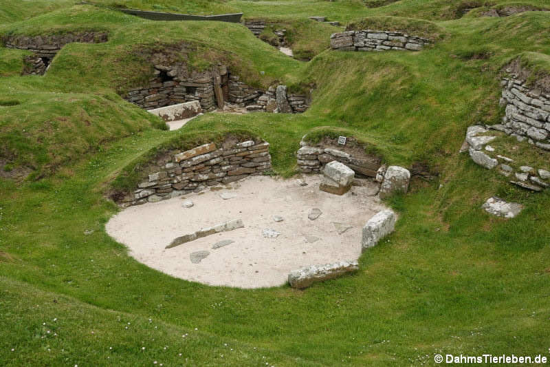 Haus-10 aus Skara Brae