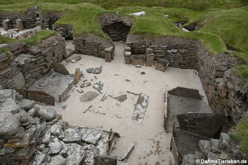 Haus-5 aus Skara Brae