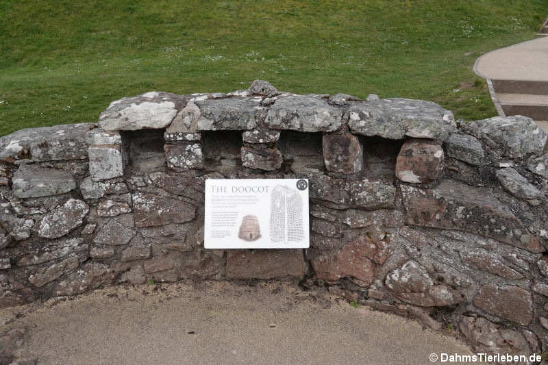 doocot