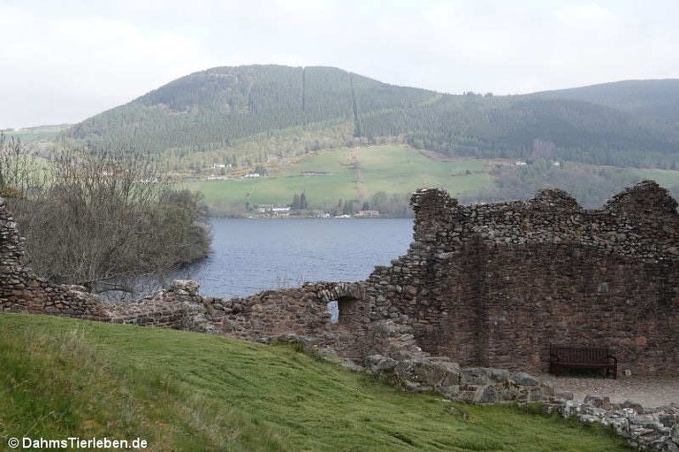 Urquhart Castle