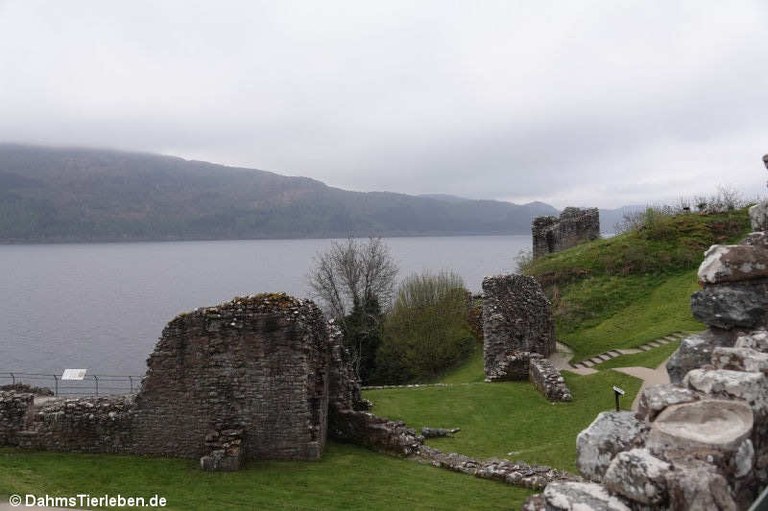 Urquhart Castle