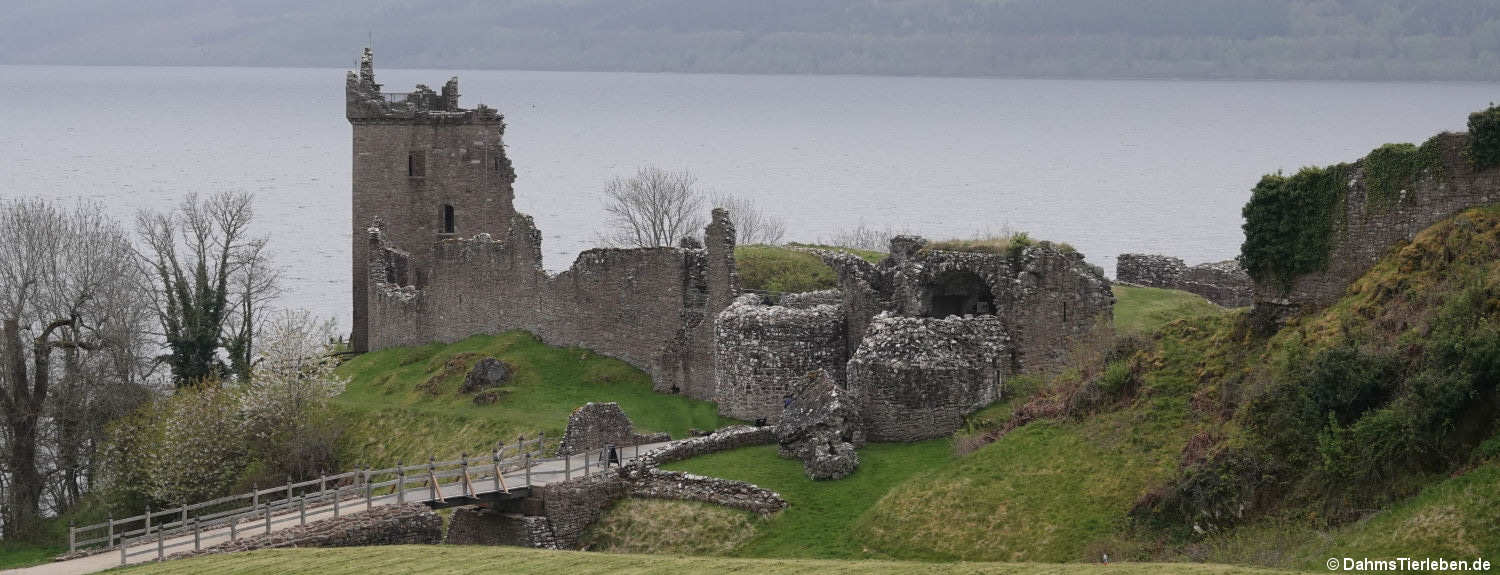 Urquhart Castle