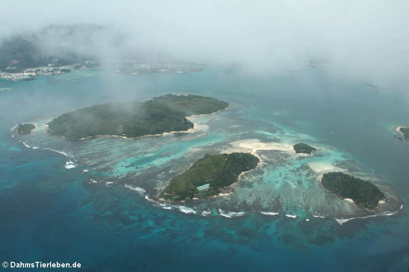 Ile Cachee, Ile au Cerf, Round, Long und Ile Moyenne