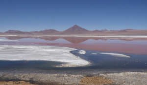 Laguna Colorada