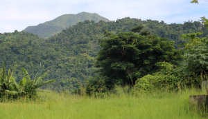 Dominica, the Nature Island