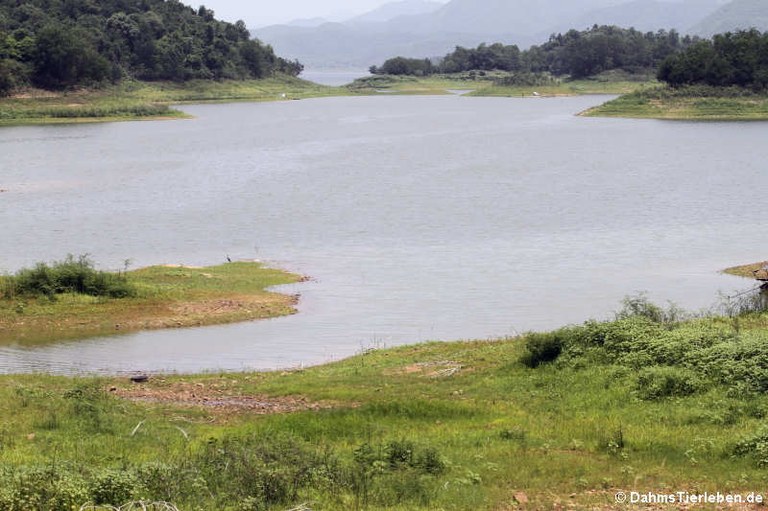 Kaeng-Krachan-Stausee