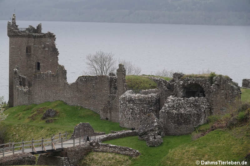 Urquhart Castle