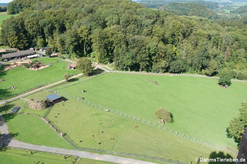 Blick auf die Anlagen für Ziegen, Schafe und Damwild