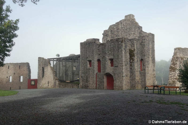 Der Wohnturm in der Kasselburg, links daneben die Voliere der Gänsegeier