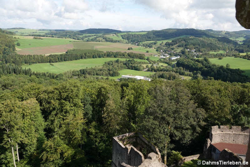 Blick in Richtung Rockeskyll