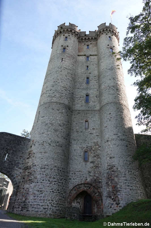 Doppelturm