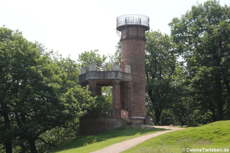 Aussichtsturm